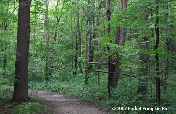 Warren Woods State Park Michigan