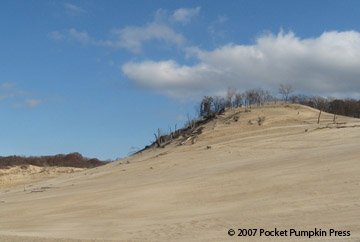 Lake Michigan dunes 