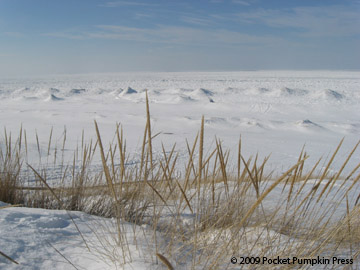 snow dunes frozen lake Michigan