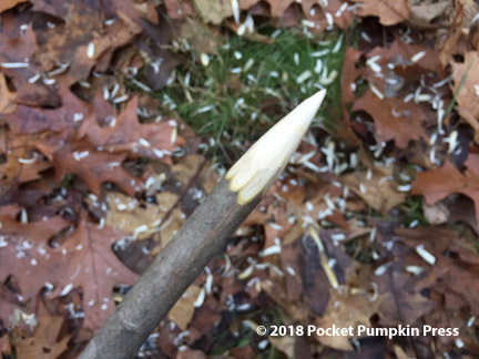 making a digging stick, holistic landcare