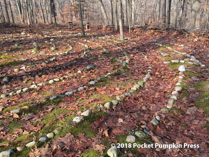 labyrinth, Michigan, USA